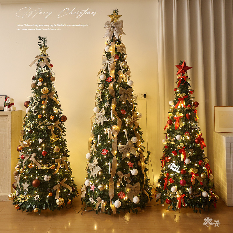 Christmas Trees 6